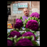 italy 6